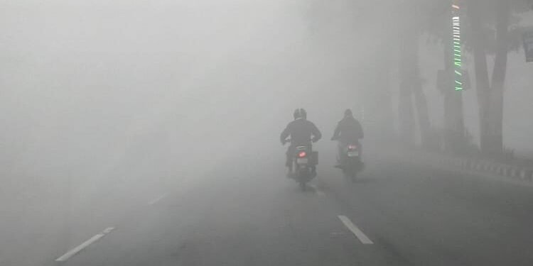 Weather: पहाड़ों पर बर्फबारी के बीच मैदानों में चढ़ा पारा, अगले सात दिन बारिश के आसार