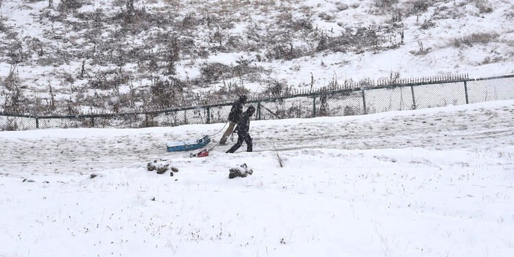 Weather: बर्फीली हवाओं से चुभ रही ठंड, कई जगह 10 डिग्री से नीचे लुढ़का पारा; दिल्ली में साल का पहला शीत दिवस