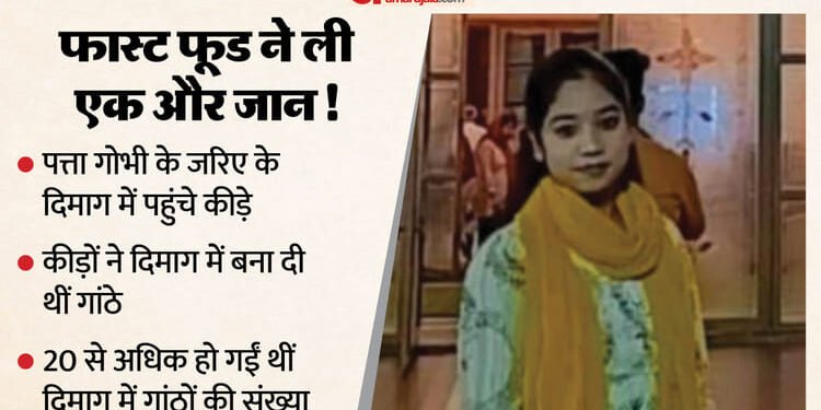 यूपी में फास्ट फूड से एक और मौत!: बर्गर और नूडल्स का अधिक सेवन... छात्रा की दिमाग में गांठें बनने से हुई मौत