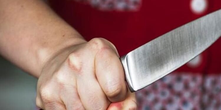 हत्या या किस्मत का खेल?: नशे में लड़खड़ाए पूर्व नौसेनाकर्मी सुनील, सब्जी काट रही पत्नी ममता के चाकू से गई जान