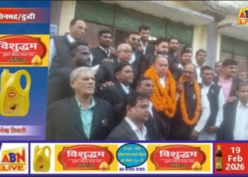 दुद्धि बार एसोसिएशन चुनाव सम्पन्न: कुलभूषण पाण्डेय अध्यक्ष व दिनेश कुमार सचिव निर्वाचित