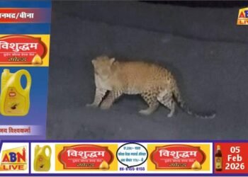 हिंडाल्को फैक्ट्री परिसर में तेंदुए की दस्तक, सीसीटीवी में कैद हुई आवाजाही