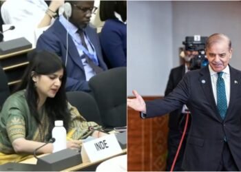 UN: 'जबरन कब्जे वाले इलाके खाली करो', पीओके पर भारत की पाकिस्तान को फटकार; सुनाई खरी-खरी