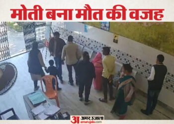 UP: कक्षा एक की छात्रा ने मुंह में छिपाई माला, गले में मोती फंसने से गई जान; कई अस्पताल भटके पर नहीं मिला इलाज