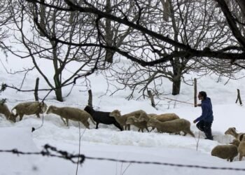 Weather: पहाड़ों में बर्फबारी से बढ़ी ठंड, मैदानों में पारा चढ़ा; अभी कुछ दिन बना रहेगा पश्चिमी विक्षोभ का असर