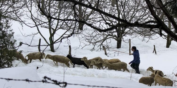 Weather: पहाड़ों में बर्फबारी से बढ़ी ठंड, मैदानों में पारा चढ़ा; अभी कुछ दिन बना रहेगा पश्चिमी विक्षोभ का असर