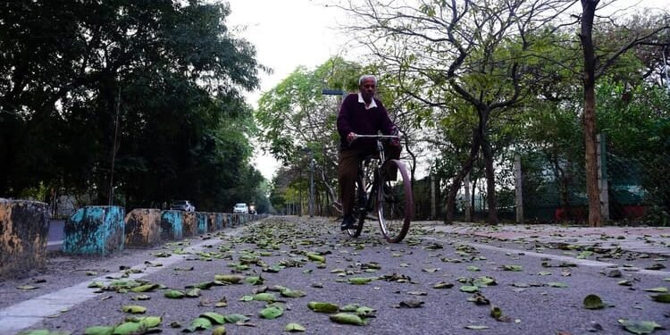 Weather:पश्चिमी विक्षोभ सक्रिय, उत्तर-पश्चिम में तापमान गिरेगा; समुद्री इलाकों में बारिश का अलर्ट