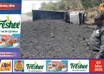 तेज रफ्तार ट्रेलर पलटने से सड़क जाम, बाल-बाल बचे राहगीर