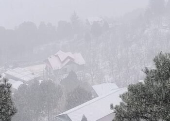 Himachal Weather: नारकंडा समेत चोटियों पर हिमपात, मैदानी जिलों में बारिश; राहत के साथ आफत भी लाया मौसमी बदलाव