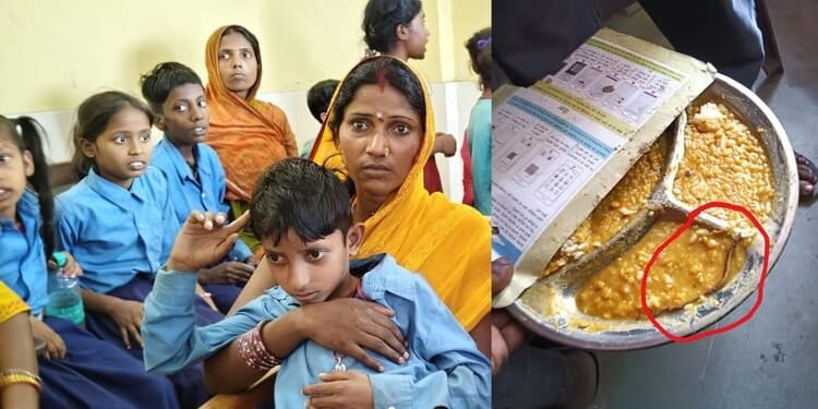 Bihar: थाली में मिला मरा हुआ सांप, मिड-डे मील के खाने में चौंकाने वाला खुलासा; 250 से अधिक बच्चे हैं बीमार