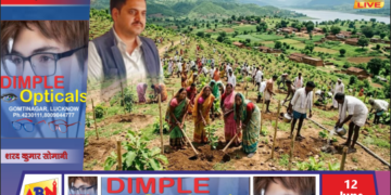 हरित आवरण बढ़ाने को सोनभद्र में बनेगा औषधि, समरस व समृद्धि वन, ‘मिशन छाया’ से छायादार होंगी सड़कें