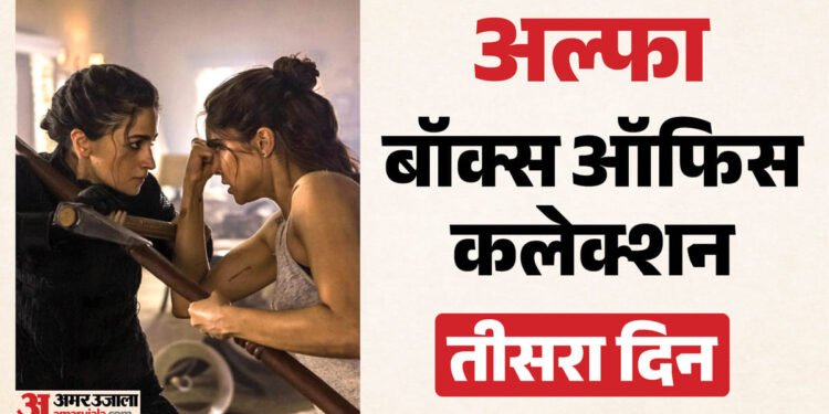 Alpha Box Office: रविवार की छुट्टी का 'अल्फा' को मिला भरपूर फायदा; जानिए तीसरे दिन कितना जुटाया कलेक्शन?