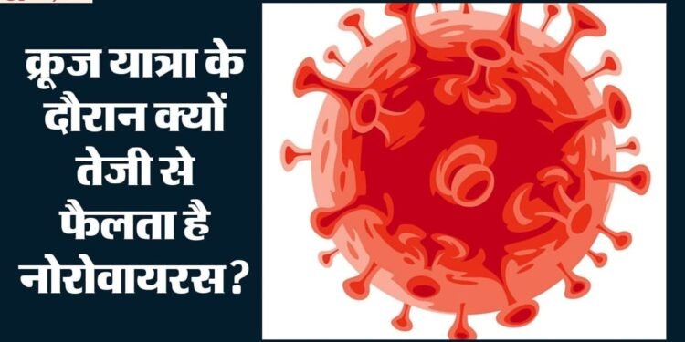 Cruise Virus Outbreak: क्रूज पर फैला नोरोवायरस, चालक दल समेत 125 लोग बीमार; कितना खतरनाक है यह संक्रमण?