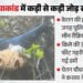 Ketan Murder Case: लोहागढ़ किले में फिर दोहराया गया केतन की मौत का मंजर; 300 फीट खाई में क्यों फेंकी गई डमी?