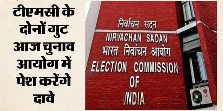 तृणमूल दावेदारी विवाद: TMC के नाम और चुनाव चिन्ह पर होगा किसका हक? EC में दस्तावेज जमा करने की अंतिम तारीख आज