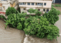 Odisha Flood: पांच दिन तक पेड़ से चिपका रहा शख्स, नदी में बहने के बावजूद बचाव दल ने कैसे सुनंदा की जान बाचाई?