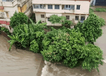 Odisha Flood: पांच दिन तक पेड़ से चिपका रहा शख्स, नदी में बहने के बावजूद बचाव दल ने कैसे सुनंदा की जान बाचाई?