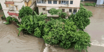 Odisha Flood: पांच दिन तक पेड़ से चिपका रहा शख्स, नदी में बहने के बावजूद बचाव दल ने कैसे सुनंदा की जान बाचाई?