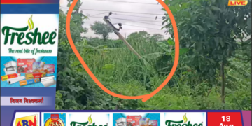 ट्रेलर की टक्कर से बिजली के पोल व तार क्षतिग्रस्त, आधा दर्जन गांवों की आपूर्ति ठप