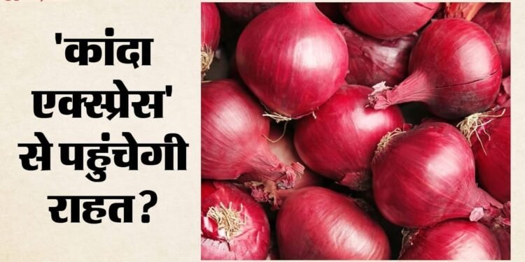 अब टूटेगी प्याज की अकड़: कांदा एक्सप्रेस से दिल्ली पहुंचा 840 टन, 35 रुपये किलो पहुंंचेगा घर-घर