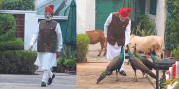 मोर को दाना खिलाया, गाय को चारा दिया: पीएम ने लाल किले पर जाने से पहले का वीडियो किया साझा; क्या कहा?