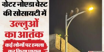 ग्रेटर नोएडा: ला रेजीडेंसिया सोसायटी में उल्लुओं का हमला जारी, अब तक तीन निवासियों को बना चुके निशाना