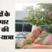 सुरों से सरहद पार: सीमा ने पहुंचाया शांति का संदेश, मंदिर में भजन गाने से शुरुआत; साहित्य अकादमी से सम्मानित